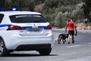 Περιπολικό