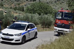 Περιπολικό και όχημα της πυροσβεστικής