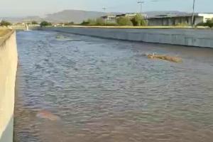 Ξηριάς