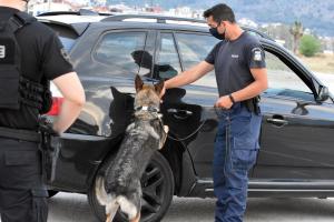ΑΣΤΥΝΟΜΙΚΟΣ ΣΚΥΛΟΣ