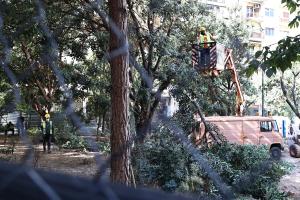 Εξάρχεια μετρό δέντρα