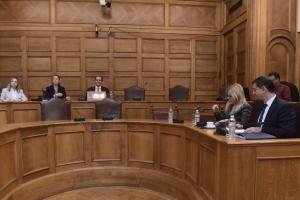 επιτροπή οικονομικών υποθέσεων Βουλή