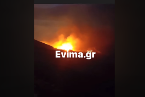 Φωτιά Εύβοια