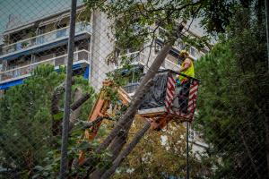 Άνθρωπος κλαδεύει δέντρα στην πλατεία Εξαρχείων