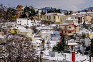 ΧΕΙΜΩΝΑΣ ΧΙΟΝΙΑ