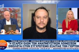 μαγιορκίνης