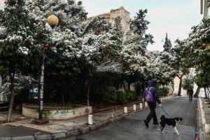 Άνθρωπος με σκύλο περπατά σε χιονισμένο δρόμο της Αθήνας