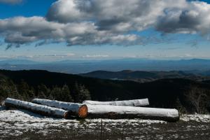 Κορμοί δέντρων χιονισμένοι και πίσω βουνά και σύννεφα στον ουράνο