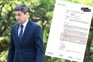 ΑΥΓΕΝΑΚΗΣ ΔΕΔΔΗΕ ΠΛΗΜΜΥΡΟΠΑΘΕΙΣ