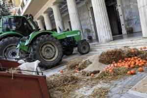 ΤΡΑΚΤΕΡ ΔΙΑΜΑΡΤΥΡΙΑ