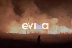 Φωτιά Εύβοια