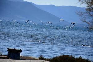 καιρός λιακάδα θάλασσα