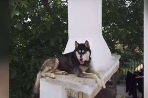 Ο Όλιβερ