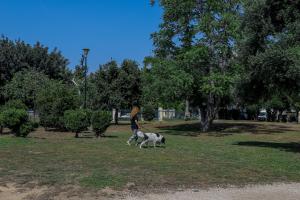 ΑΚΑΔΗΜΙΑΣ ΠΛΑΤΩΝΟΣ