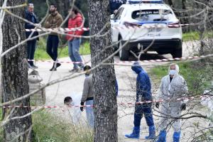 Αστυνομία στα Γιάννενα