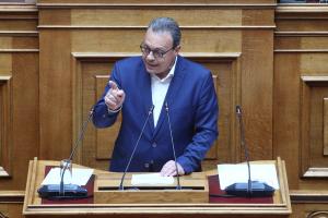 ΦΑΜΕΛΛΟΣ ΒΟΥΛΗ