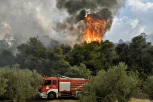Φωτιά σε δασική περιοχή