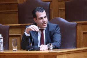 Πλεύρης