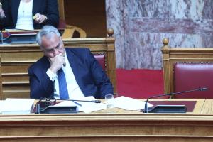 Ο Μάκης Βορίδης στη Βουλή