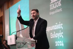 Ο Νίκος Ανδρουλάκης