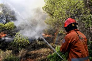 ΦΩΤΙΑ ΣΕ ΔΑΣΙΚΗ ΕΚΤΑΣΗ ΣΤΗ ΚΑΛΛΙΘΕΑ ΛΟΥΤΡΑΚΙΟΥ