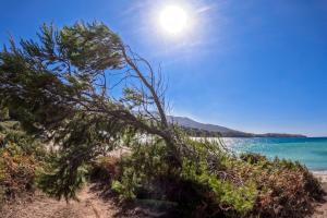 Ηλιόλουστος καιρός σε παραλία