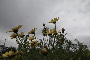 καιρός άνοιξη βροχή