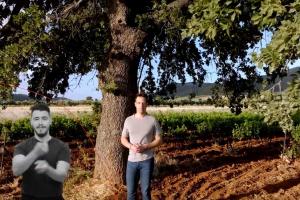Ο Στέφανος Κασσελάκης σε προεκλογικό σποτ