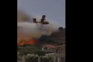 Canadair που επιχειρεί στη Ναυπακτία βρίσκει σε δέντρο