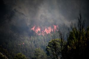 Φλόγες και καπνοί βγαίνουν από δάσος που καίγεται