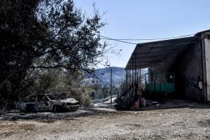 Καταστροφές από φωτιά στην Αχαΐα