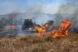 Φωτιά σε καίει χόρτα στην Βάρης Κορωπίου