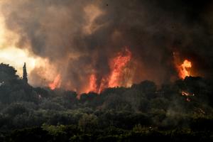 Φωτιά καίει δάσος στην Ηλεία