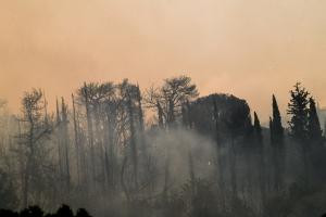 Καπνός από το δάσος που καίγεται στην Ηλεία