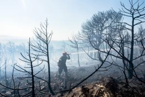 Πυροσβέστης επιχειρεί σε καμένα σε δάσος
