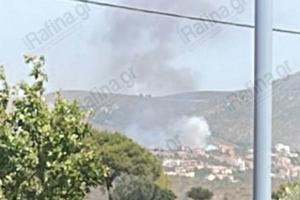 ΦΩΤΙΑ ΝΤΑΟΥ ΠΕΝΤΕΛΗ