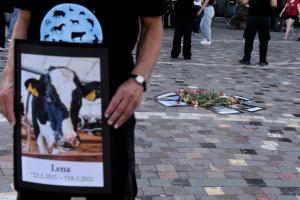 ΔΡΑΣΗ "ΔΙΕΘΝΗ ΗΜΕΡΑ ΓΙΑ ΤΑ ΔΙΚΑΙΩΜΑΤΑ ΤΩΝ ΖΩΩΝ" ΣΤΟ ΜΟΝΑΣΤΗΡΑΚΙ