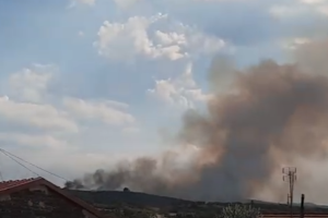ΦΩΤΙΑ ΝΙΓΡΙΤΑ ΣΕΡΡΩΝ