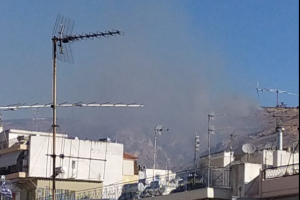 φωτιά πυρκαγιά Σχιστό Κορυδαλλού