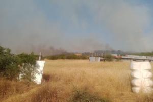 ΦΩΤΙΑ ΒΟΛΟΣ ΠΕΔΙΟ ΒΟΛΗΣ ΓΛΑΦΥΡΩΝ