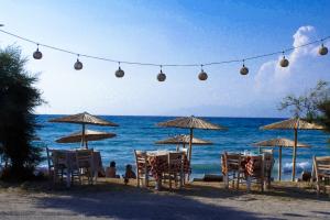 εστίαση τουρισμός θάλασσα ταβέρνα