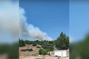 Καπνός από τη φωτιά στα Βίλια