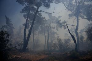 Φωτιά στη Λέσβο