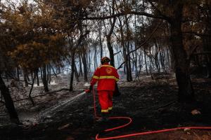 Πυροσβέστης μέσα σε καμένα δέντρα
