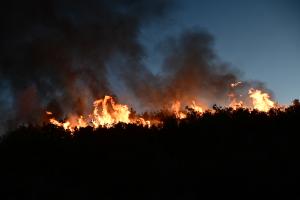Φλόγες καίνε δασική έκταση στη Σταμάτα