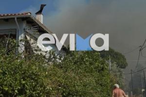 Πυρκαγιά σε αγροτοδασική έκταση στην Παναγιά Ευβοίας. Επιχειρούν 20 πυροσβέστες με 8 οχήματα ενώ κινητοποιήθηκε 1 Ε/Π.
