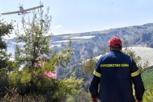 Μεγάλη πυρκαγιά ξέσπασε το μεσημέρι στην περιοχή Στιμάγκα Κορινθίας. Πέμπτη 11 Ιουλίου 2024