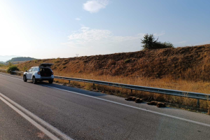 αρκουδάκια Φλώρινα Αρκτούρος