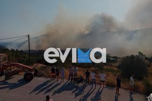 Φωτιά στην Εύβοια