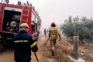 Πυροσβέστες επί τω έργω